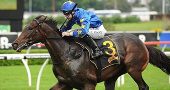 Melbourne Cup 2015 winner Prince of Penzance: Final results .